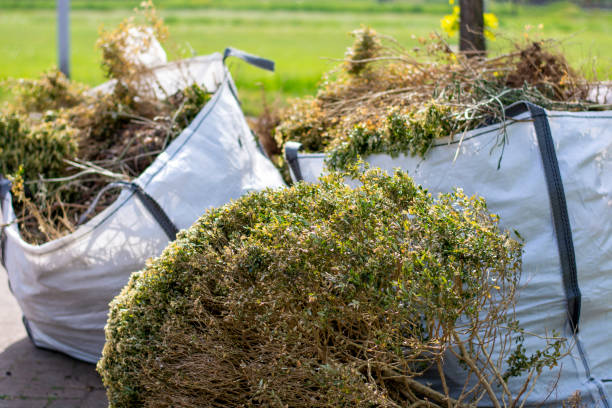 Best Local Junk Hauling  in Rogers, AR